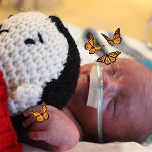 Meet your Posher, Marie